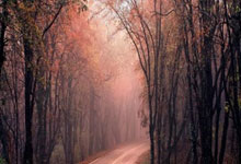 [图]毛里斯梅开二度 十人多特客场1-2奥格斯堡.