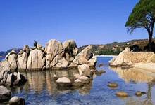 法比安-鲁伊斯:德拉富恩特鼓励我远射,和他共事我感觉很舒服.